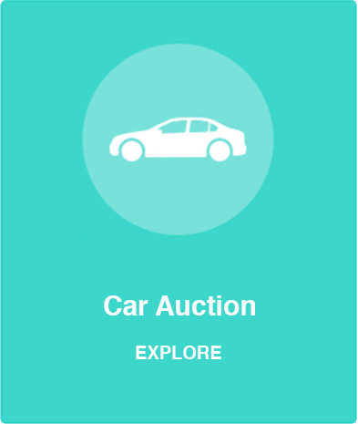 SWVA Car Auction